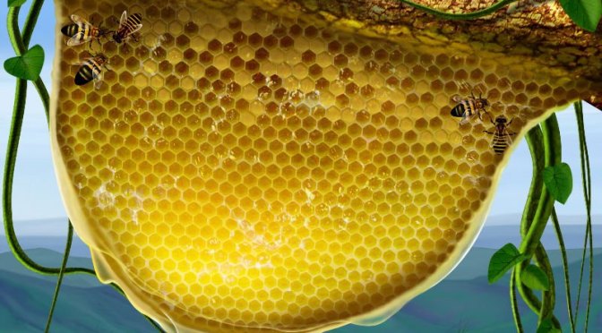 7 Benefit Of Pure Honey